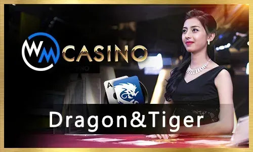 Jili168 Bingo Bonuses